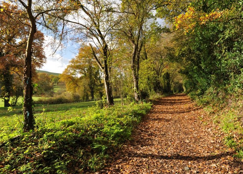 VTT LA MOINE, ENTRE GRANITE ET VIGNOBLE