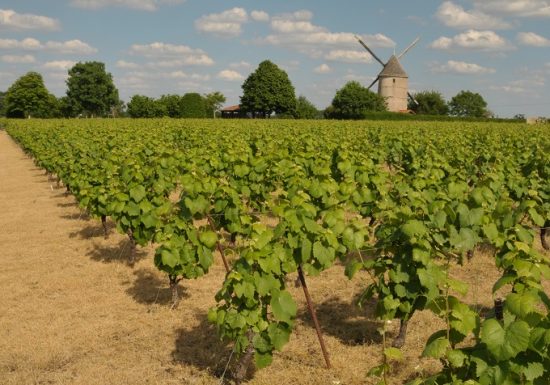 VTT LES VIGNES