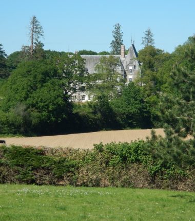 Randonnée « Le bois de la Boulaie »