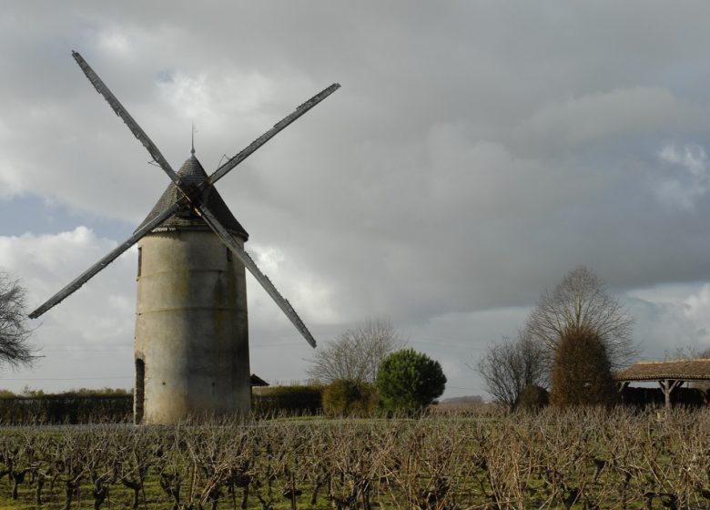 RANDONNÉE LES VIGNES