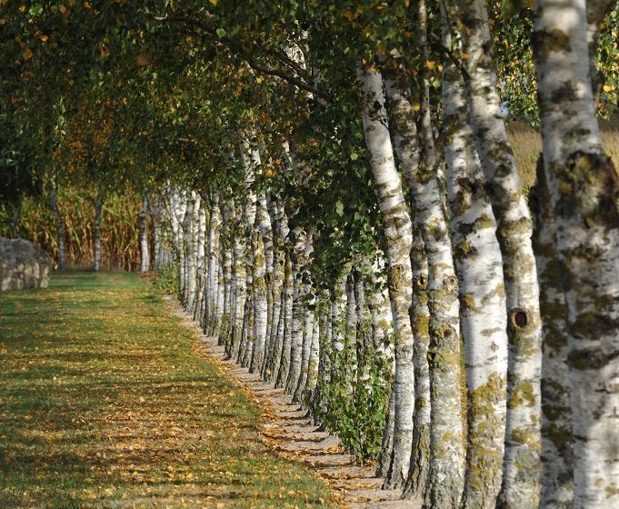 Randonnée de Printemps à La Renaudière