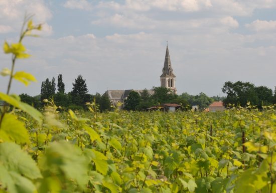 RANDONNÉE LES VIGNES