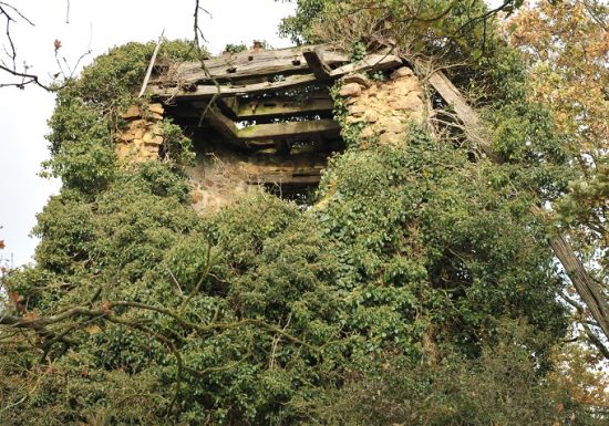 Randonnée « Vallée de l’Aiguefou »