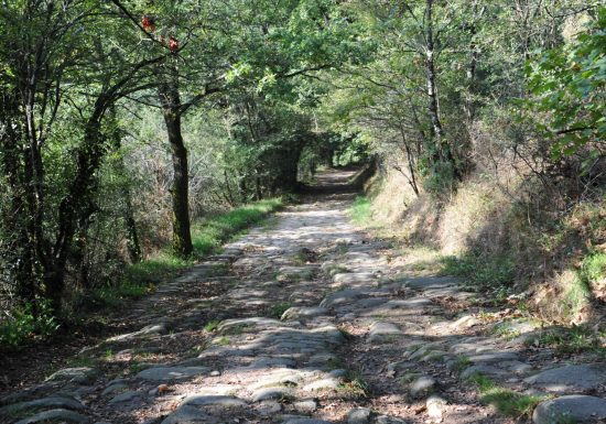 Sentier d’interprétation « La Bataille de Torfou »