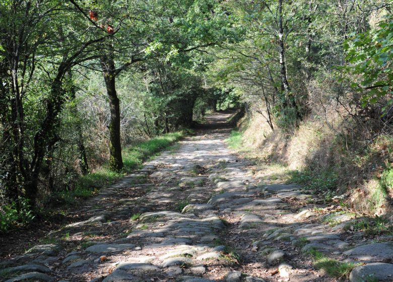 SENTIER D’INTERPRÉTATION LA BATAILLE DE TORFOU