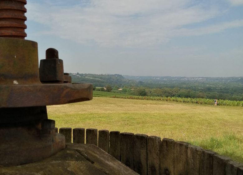 Randonnée « Loire et coteaux »