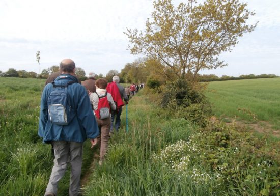 Randonnée « Autour des chênes »