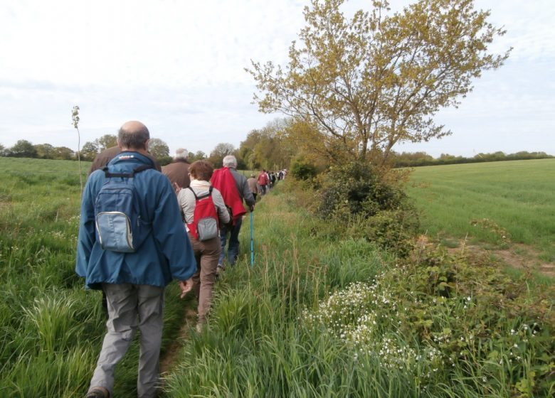 RANDONNÉE « AUTOUR DES CHÊNES » – SAINT PHILBERT EN MAUGES