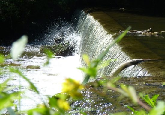 Randonnée « De Courrosé à Gévrise »