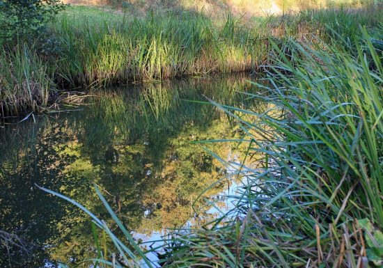 Randonnée « La coulée de la Divatte »