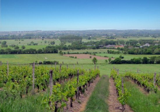 Randonnée « Des moulins à la vigne »