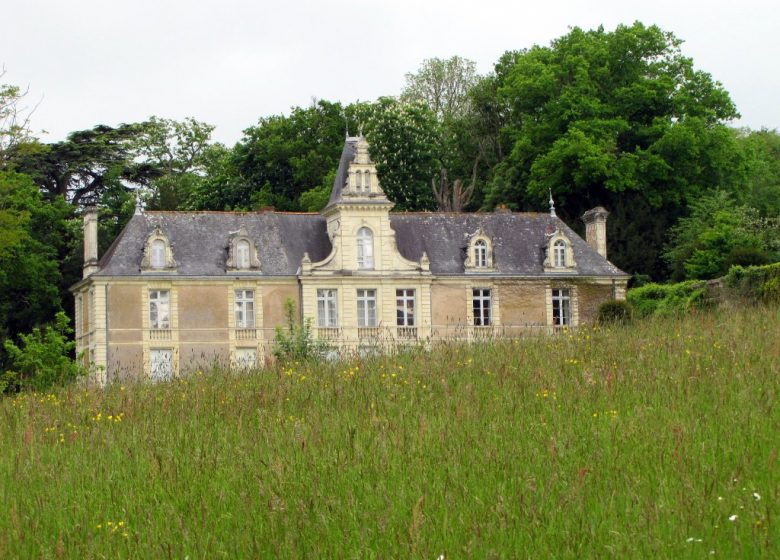 DES MOULINS À LA VIGNE