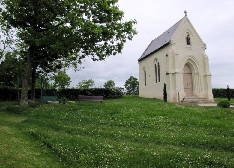 DES MOULINS À LA VIGNE