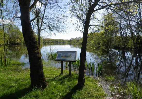 Boires de la Rompure et de la Nigaudière