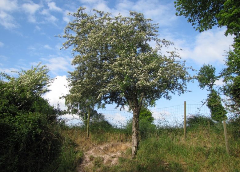 RANDONNÉE LA DROILLE ET L’ARMAZIE