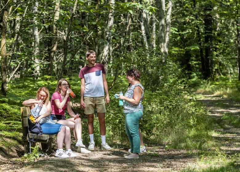 Randonnée « Entre forêt et bocage »