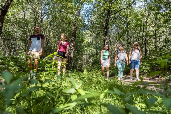 La croix de Leppo via la randonnée "Entre forêt et bocage"