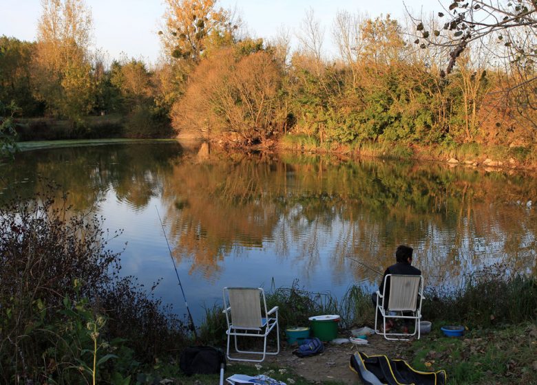 Drain – Entre Loire et Vignoble