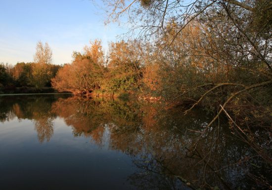 Drain – Entre Loire et Vignoble