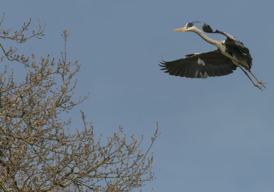 Randonnée « Èvre et Loire »