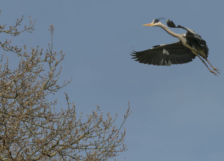 Randonnée « Èvre et Loire »