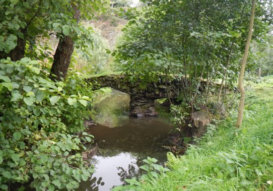 RANDONNÉE AU FIL DU LAURENT