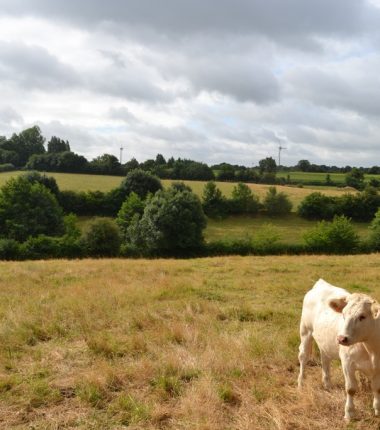 Randonnée « Grenet »