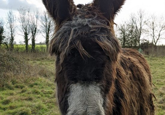 Randonnée « La Droille et l’Armazie »