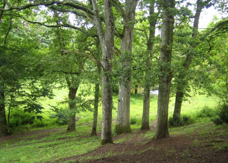 RANDONNÉE LE BOIS DE LA BOULAIE