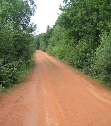 Randonnée « Les biches »