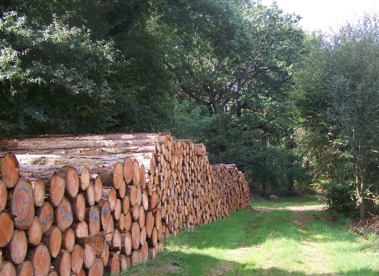 Randonnée « Les Hauts du Doré »