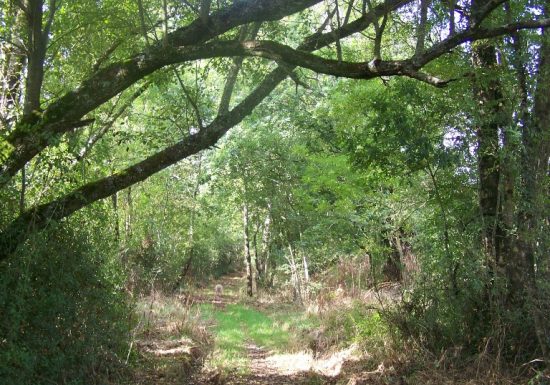 Randonnée « Les Hauts du Doré »