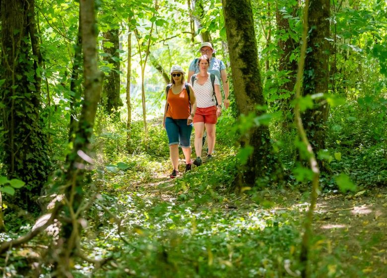 Panneau patrimoine Vallée de l&rsquo;Èvre : site de la Gautrêche parc et château