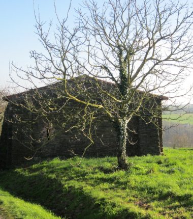 Randonnée « Les coteaux de la Roche »