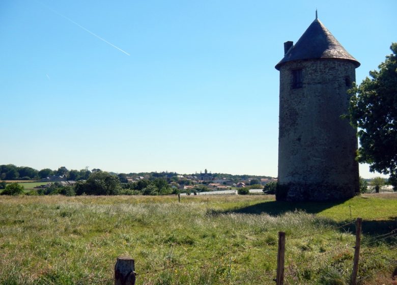 DES MOULINS À LA VIGNE