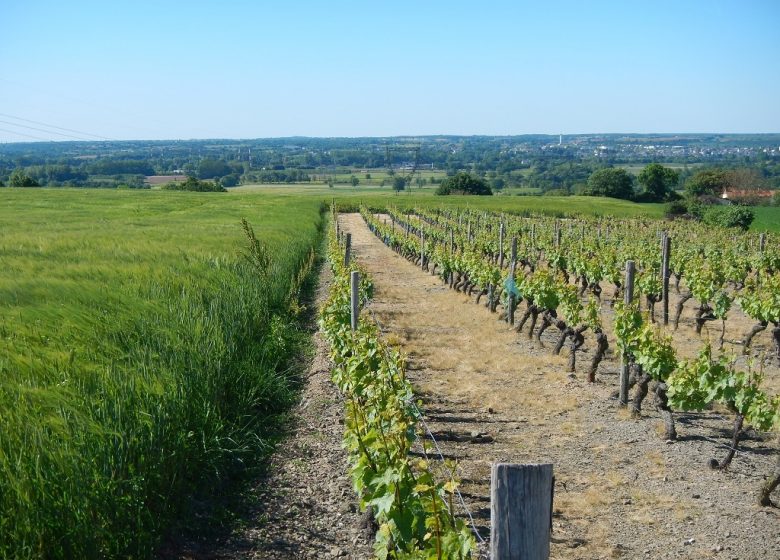 Le Mesnil-en-Vallée