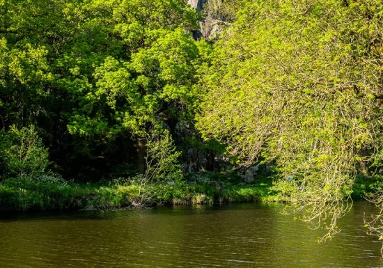Sentier d’interprétation « Le Rocher du Manis » /!\ Fermé temporairement