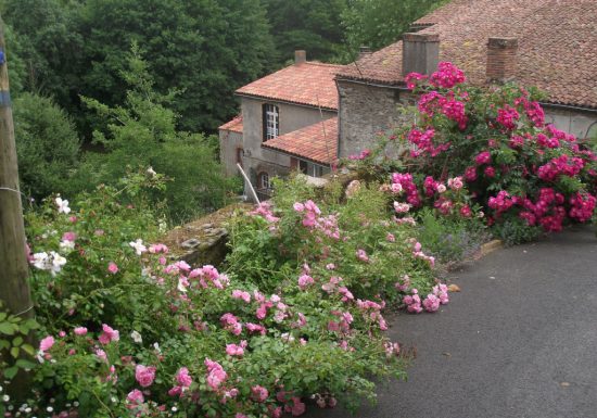 Gîte le Moulin Neuf