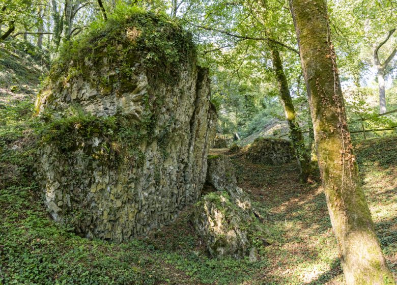 Visite guidée « A la découverte de la Citadelle de Champtoceaux »