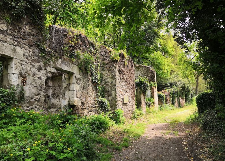 Balade « Découverte du site de Courossé »