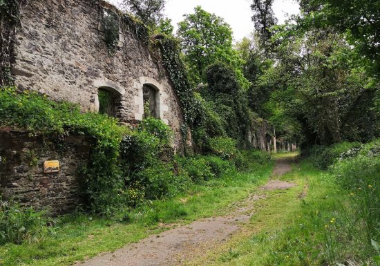 Balade « Découverte du site de Courossé »