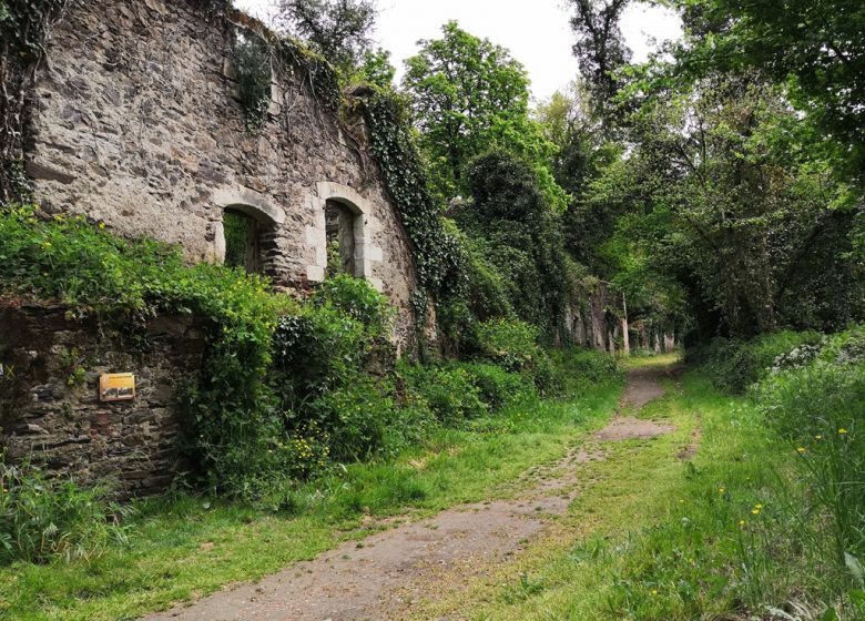 Balade « Découverte du site de Courossé »