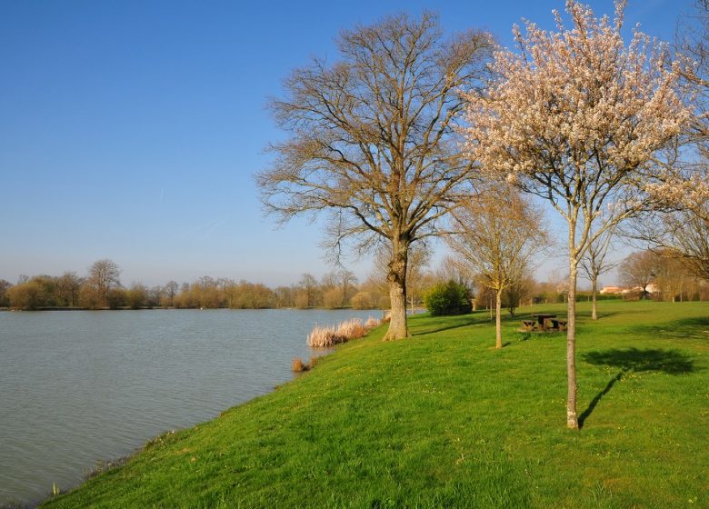 Saint-Macaire-en-Mauges