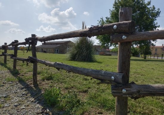 Salle de réception du Grand Renard