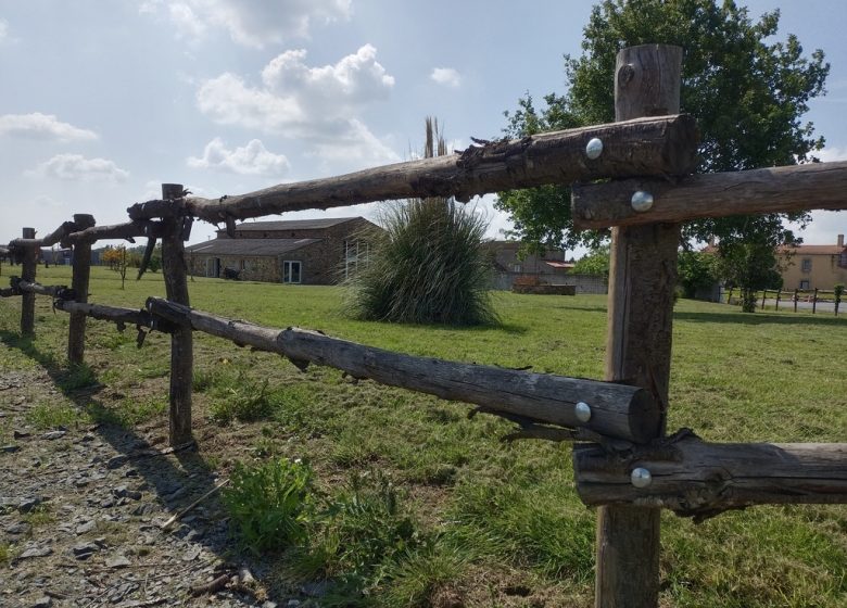 Salle de réception du Grand Renard