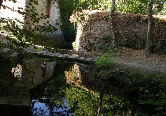 RANDONNÉE LES COTEAUX DE LA SANGUÈZE