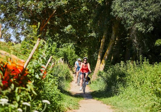 Boucle vélo entre Anjou et Pays Nantais