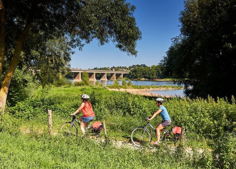 Location de vélos à l&rsquo;Office de Tourisme de Champtoceaux