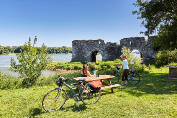 La Loire à Vélo de Champtoceaux à Mauves sur Loire