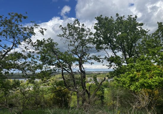 Balade « Sentier de la Garenne »